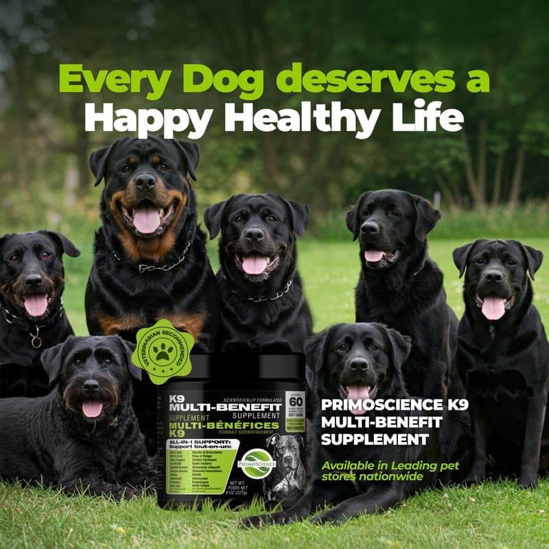 A group of healthy dogs together with the PrimoScience K9 Multi-Benefit Supplement jar