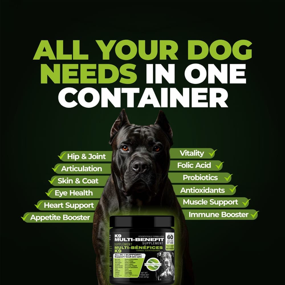 A healthy dog beside a jar of PrimoScience K9 Multi-Benefit Supplement