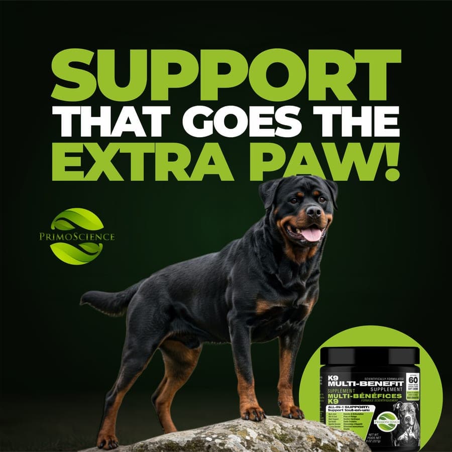 A Rottweiler standing beside the PrimoScience K9 Multi-Benefit Supplement jar
