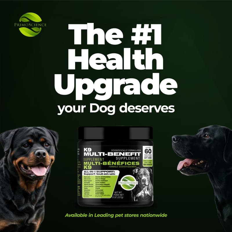 A Rottweiler and a Labrador with the PrimoScience K9 Multi-Benefit Supplement jar